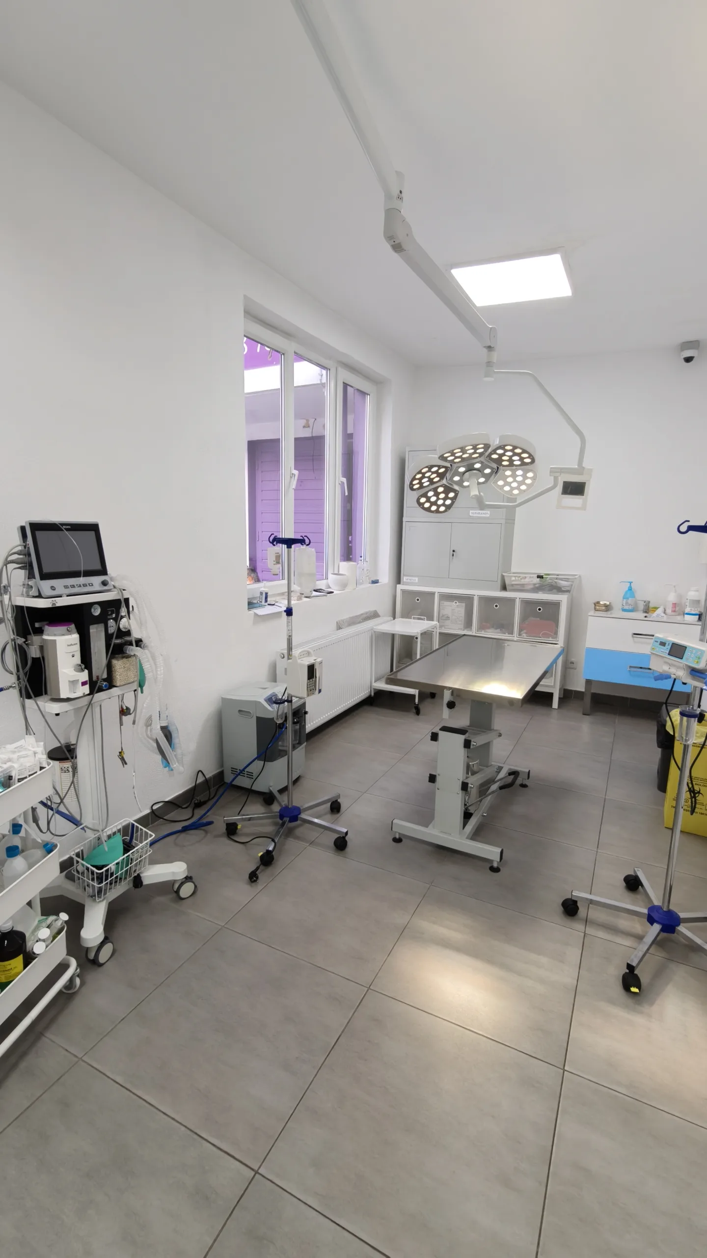 Sală de operații veterinară complet echipată cu aparat de anestezie, monitorizare funcții vitale și concentrator de oxigen.